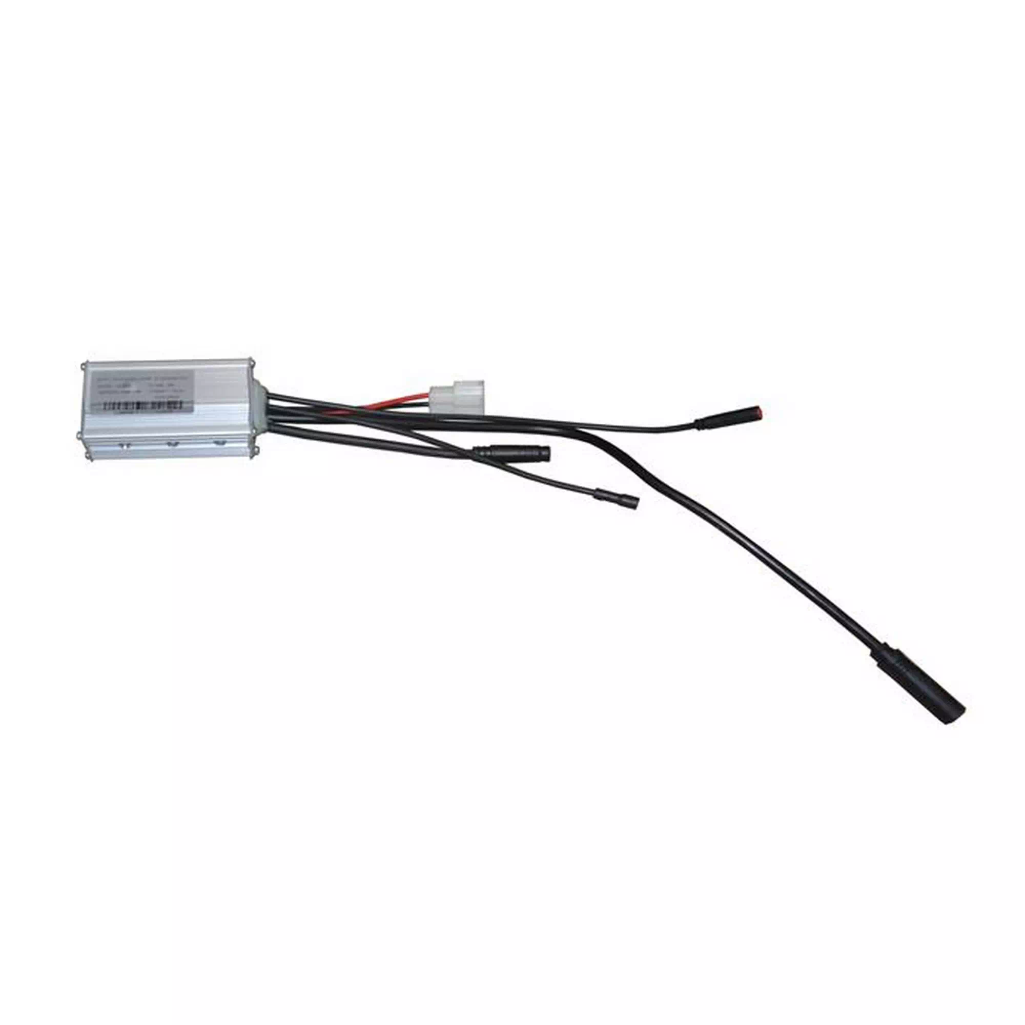 RKS RZ6 BEYİN #RK 39066